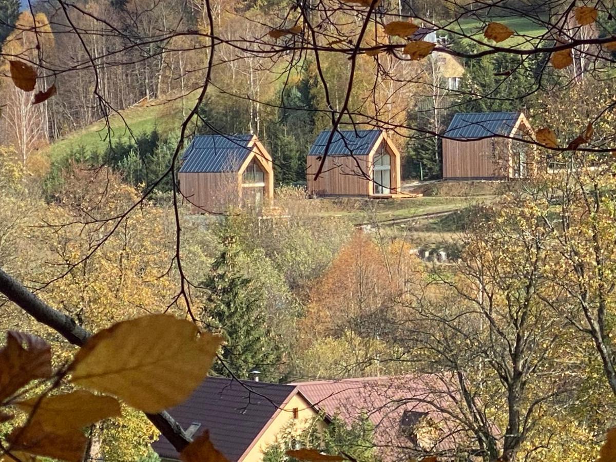Domki Pod Lasem - Domek Brzozowy Stronie Śląskie Exteriör bild