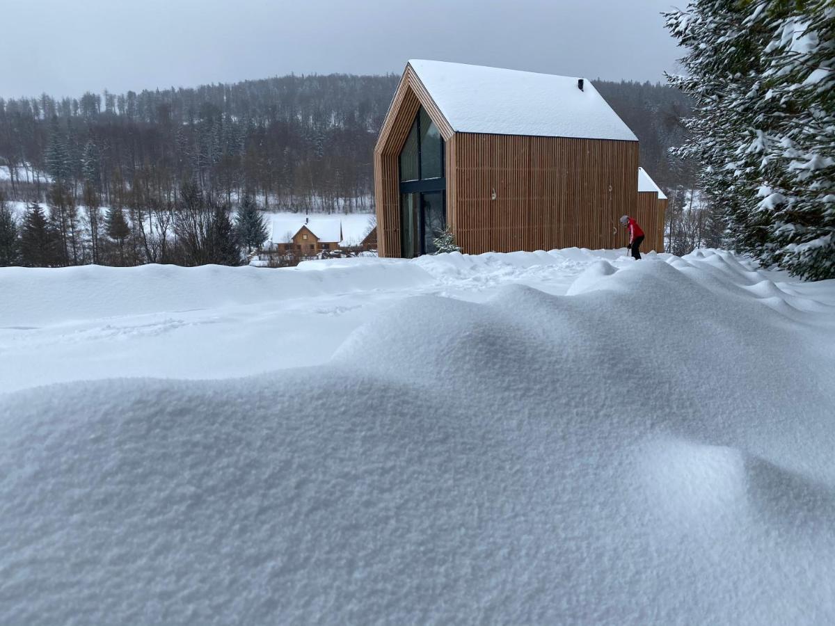 Domki Pod Lasem - Domek Brzozowy Stronie Śląskie Exteriör bild