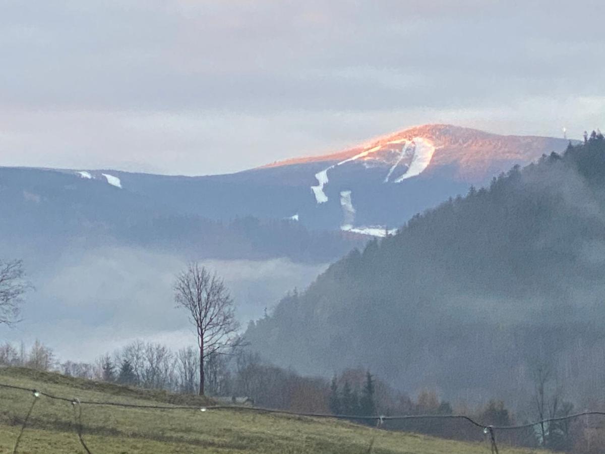 Domki Pod Lasem - Domek Brzozowy Stronie Śląskie Exteriör bild