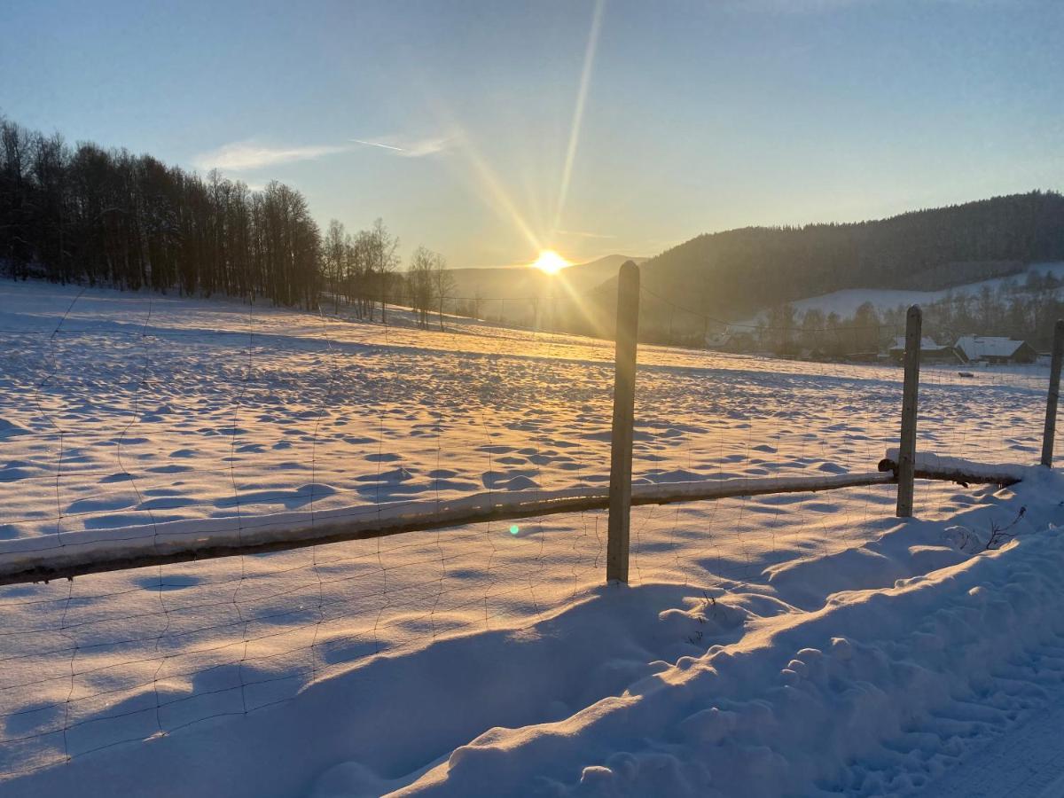 Domki Pod Lasem - Domek Brzozowy Stronie Śląskie Exteriör bild
