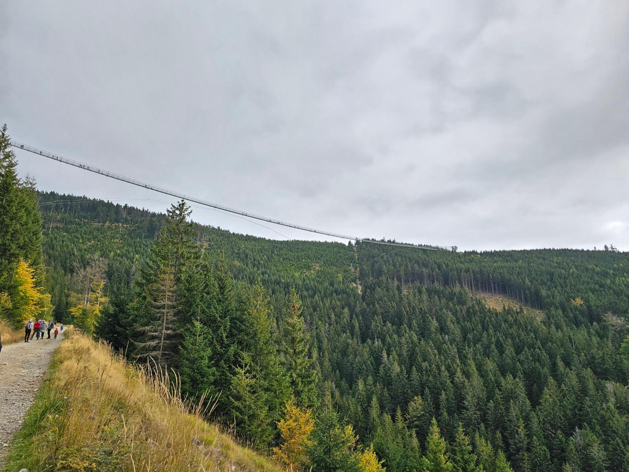 Domki Pod Lasem - Domek Brzozowy Stronie Śląskie Exteriör bild