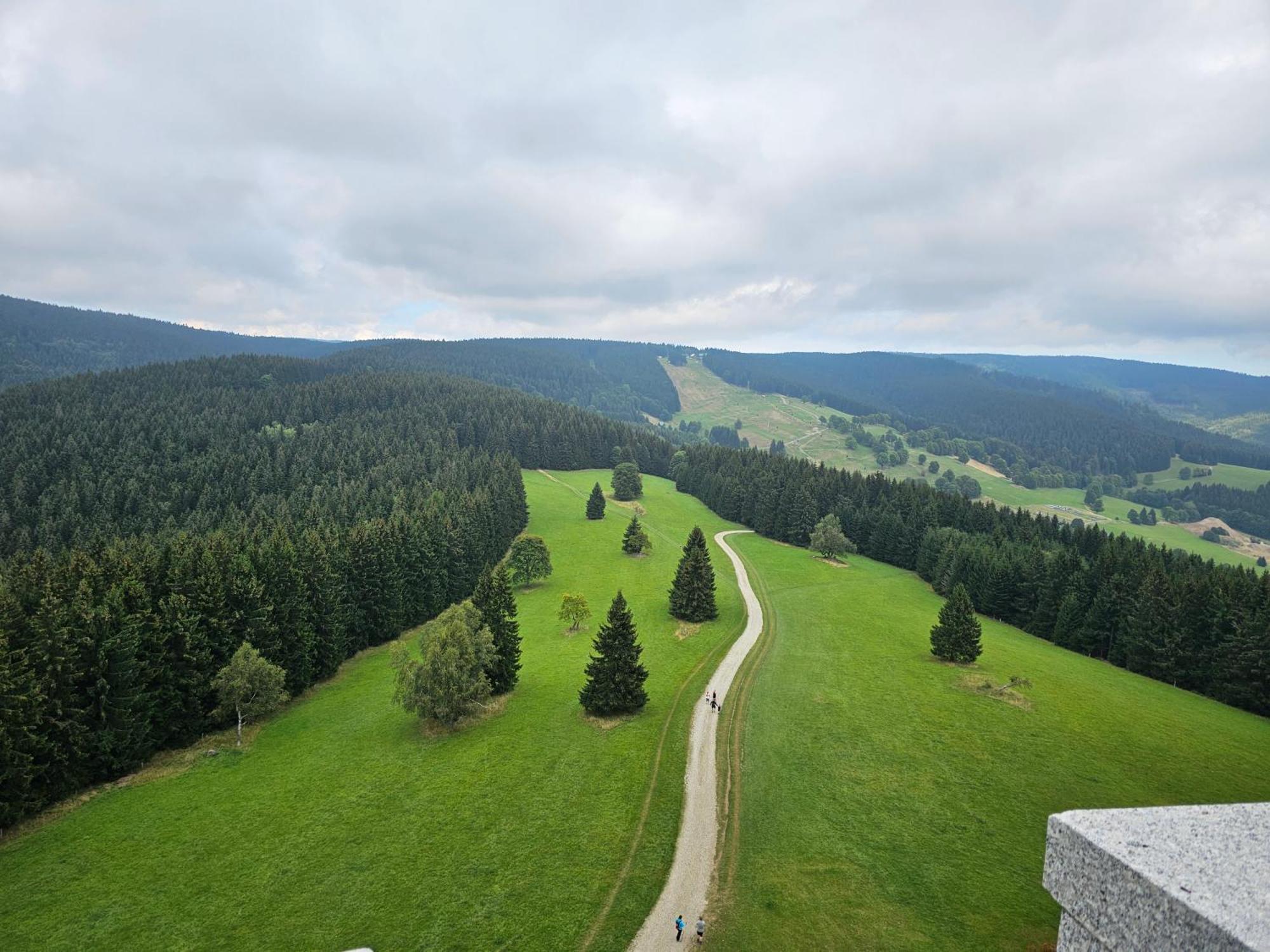 Domki Pod Lasem - Domek Brzozowy Stronie Śląskie Exteriör bild
